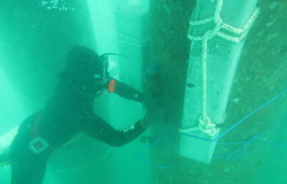 WhatsApp Image 2024-05-14 at 09.48.27 (2)