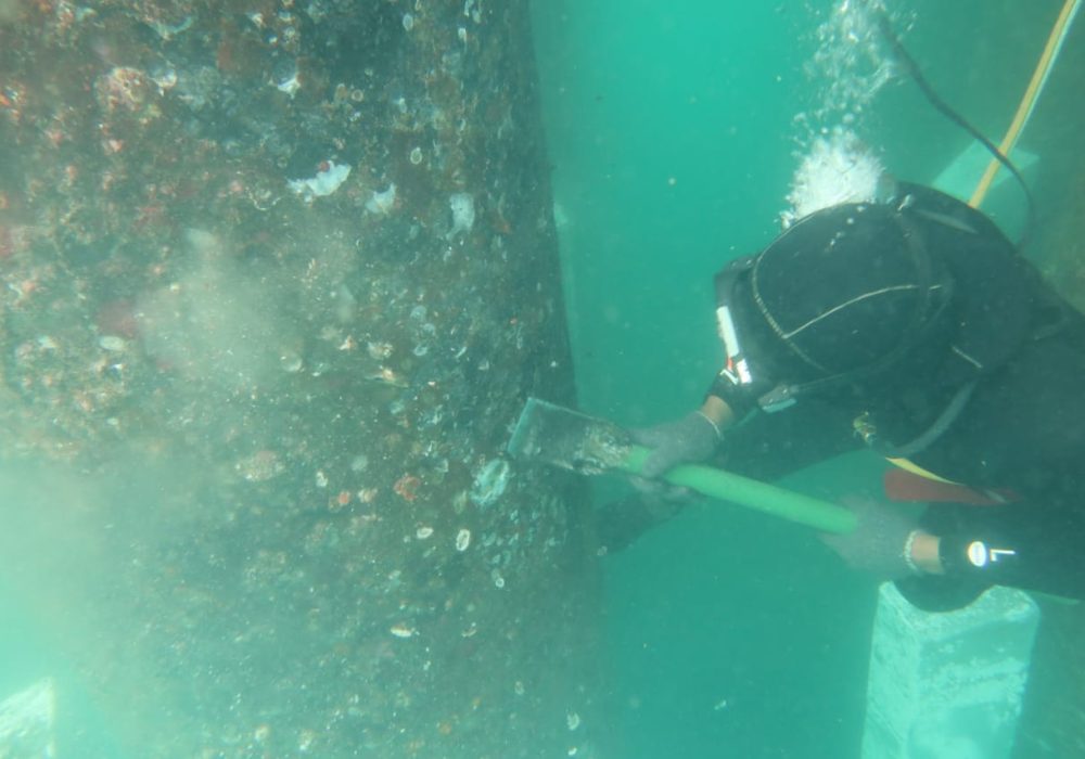 WhatsApp Image 2024-05-14 at 09.48.27