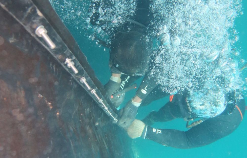 WhatsApp Image 2024-05-14 at 09.48.30